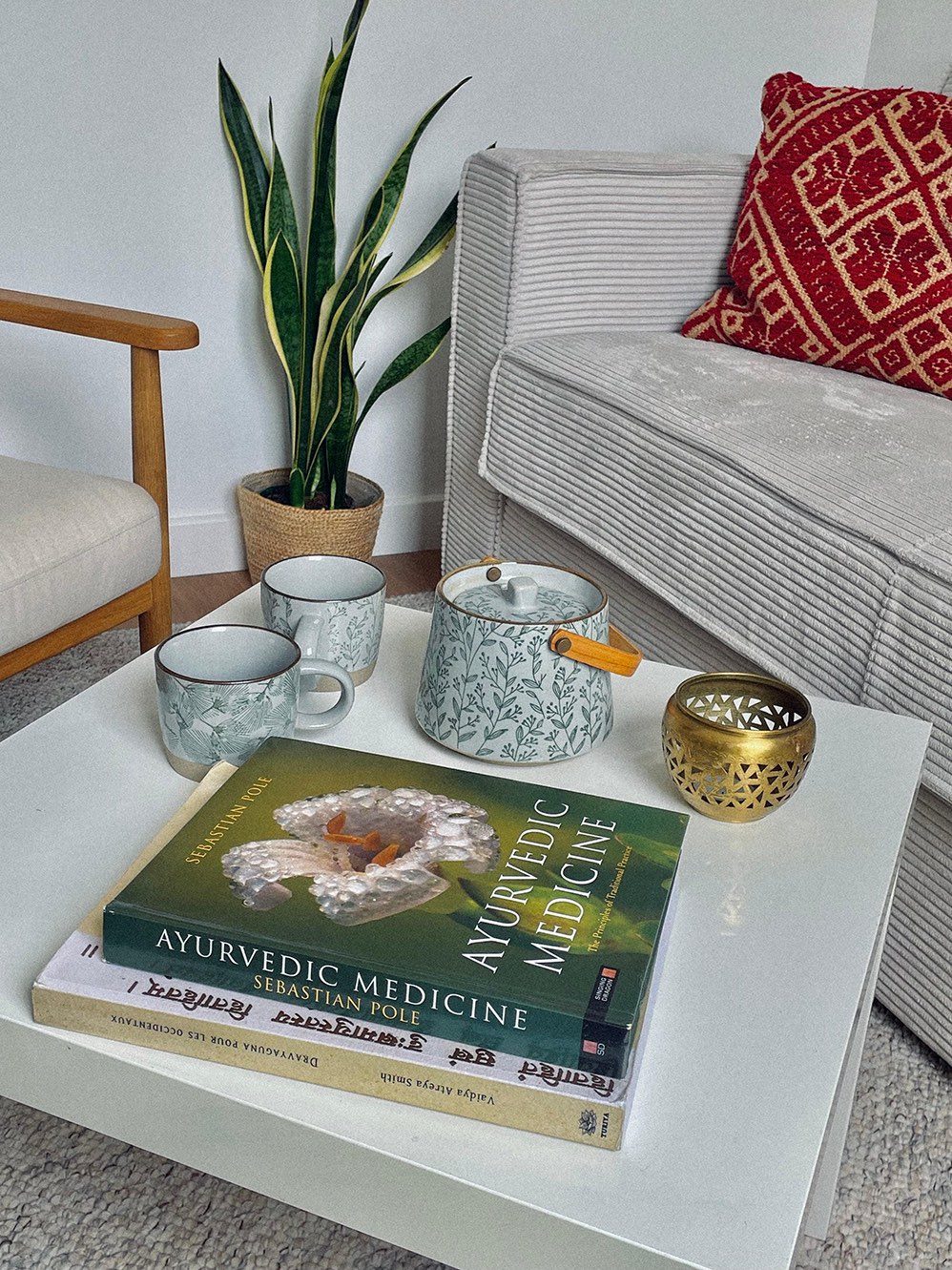 Livres de référence en médecine ayurvédique et service à thé dans le cabinet d’Apotikka à Annecy